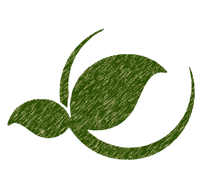 medicare.newleafprotection.com